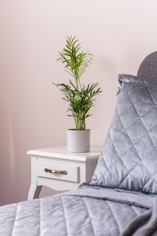 Stylish Latvian Classic 1-Bedroom Apartment Near City Center, Parks & Public Transport Links Ρίγα Εξωτερικό φωτογραφία